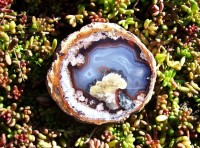 Mexican Thunderegg